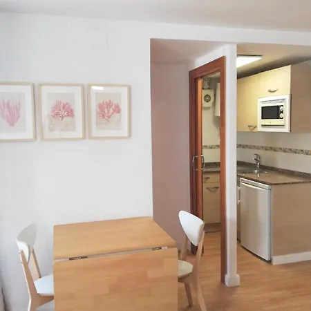 Apartment Corcega Palmyra *