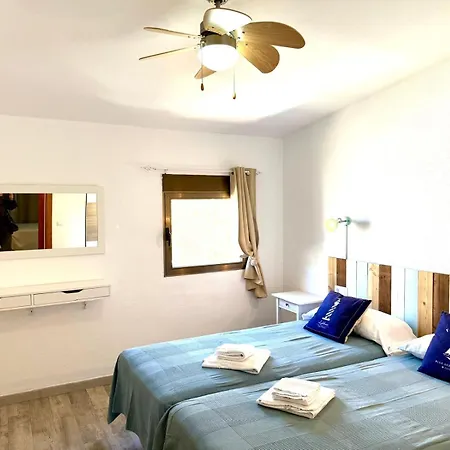Corcega Palmyra *