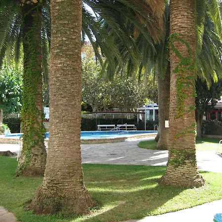 Córcega Palmyra *