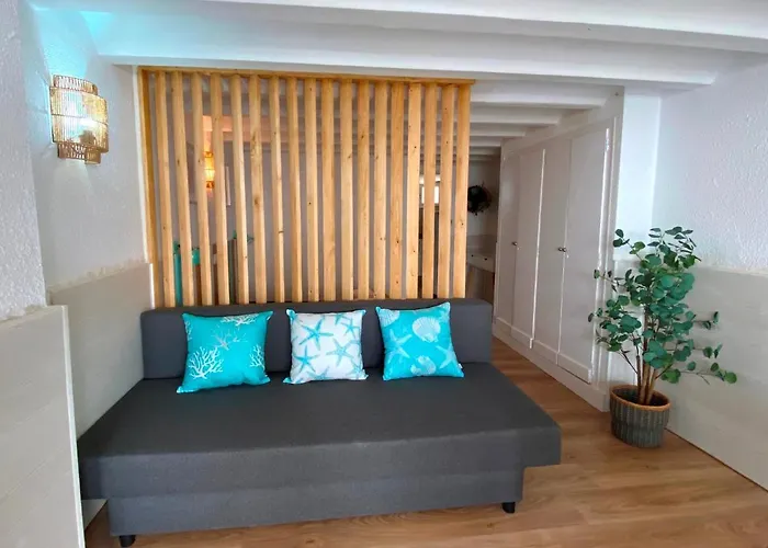 Corcega Palmyra * Салоу