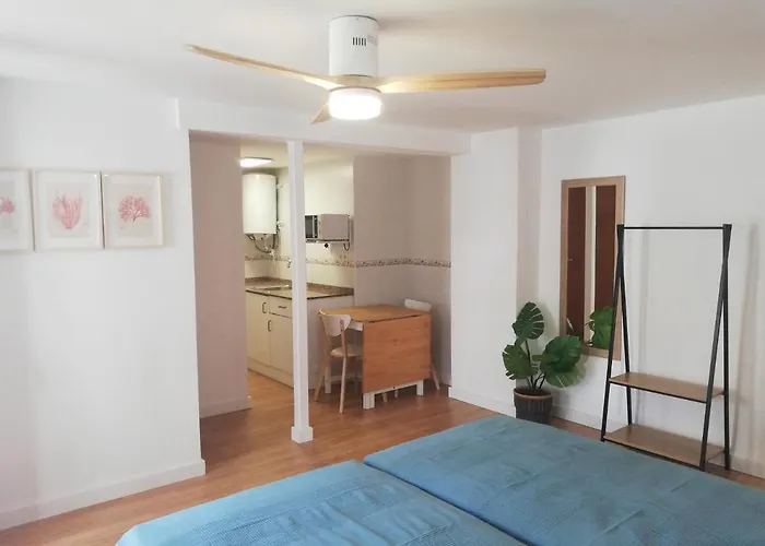 Corcega Palmyra Салоу