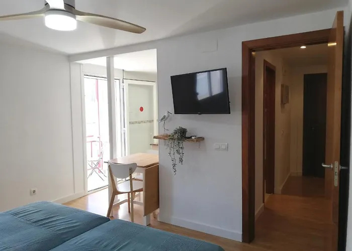 Corcega Palmyra * Салоу