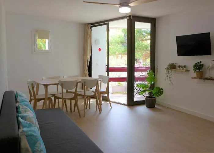 Corcega Palmyra Салоу