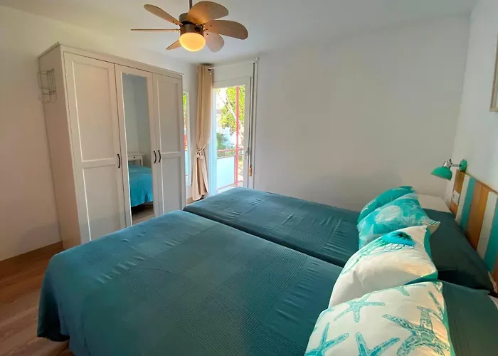 Corcega Palmyra * Салоу