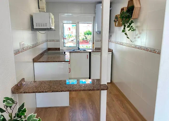 Corcega Palmyra * Салоу