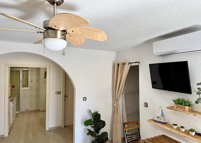 Corcega Palmyra Салоу