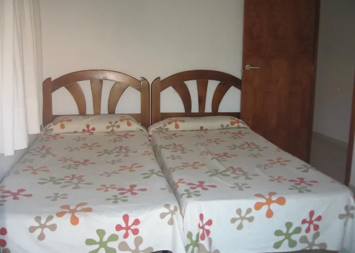 Corcega Palmyra Салоу