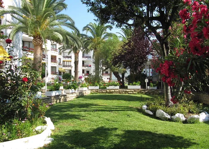 Corcega Palmyra * Салоу