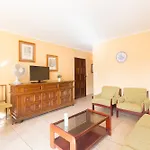 Córcega Palmyra