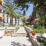 Córcega Palmyra