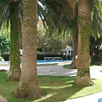 Corcega Palmyra *
